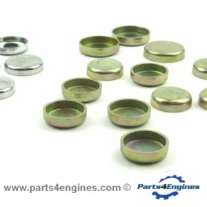 Perkins M90 Core Plug Set