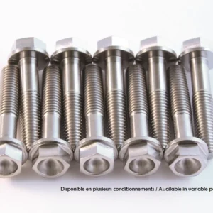 Tornillo para el motor SCAR titanio M6x65