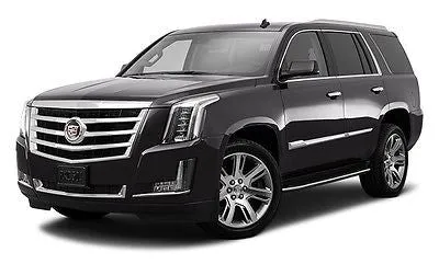 2015-2020 Cadillac Escalade Chroom Running Board Trim Molding