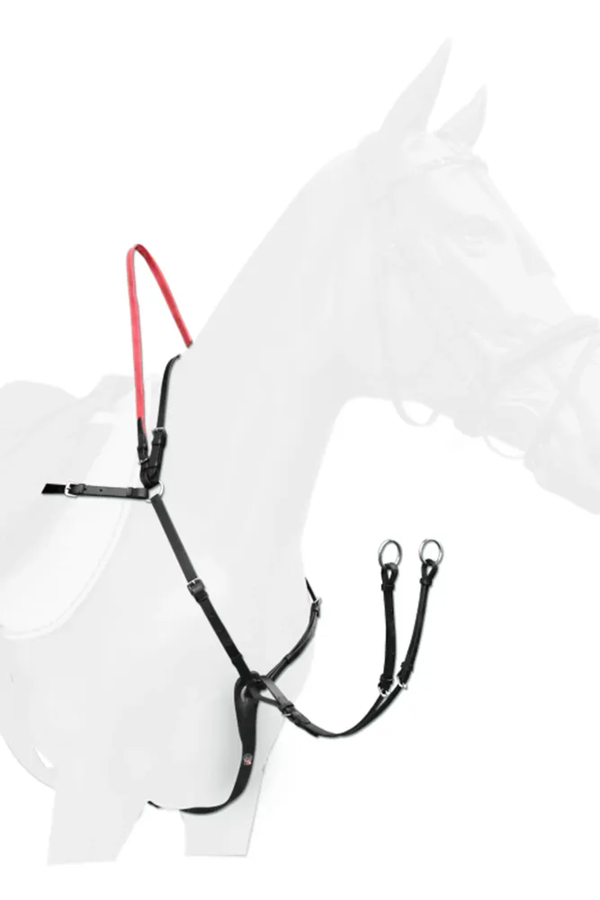 Secutrust Breastplate Safety Reins ebbenhout C-F met UV-filter | krasbestendig