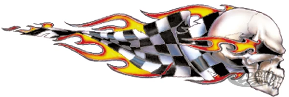 Checkered skull right decal 2.6"x7.53" Harley-Davidson
