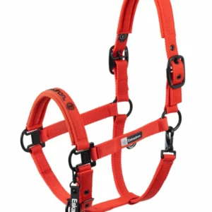 Dynamics AW25 Dubbel Pin Headcollar Red SHP