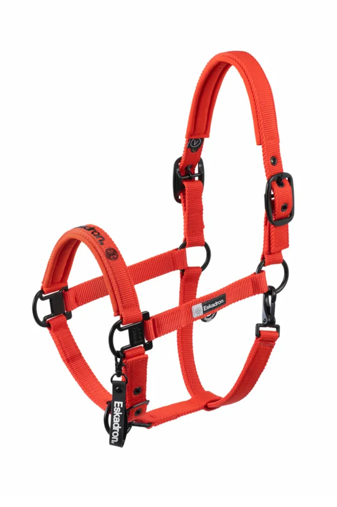 Dynamics AW25 Dubbel Pin Headcollar Red SHP