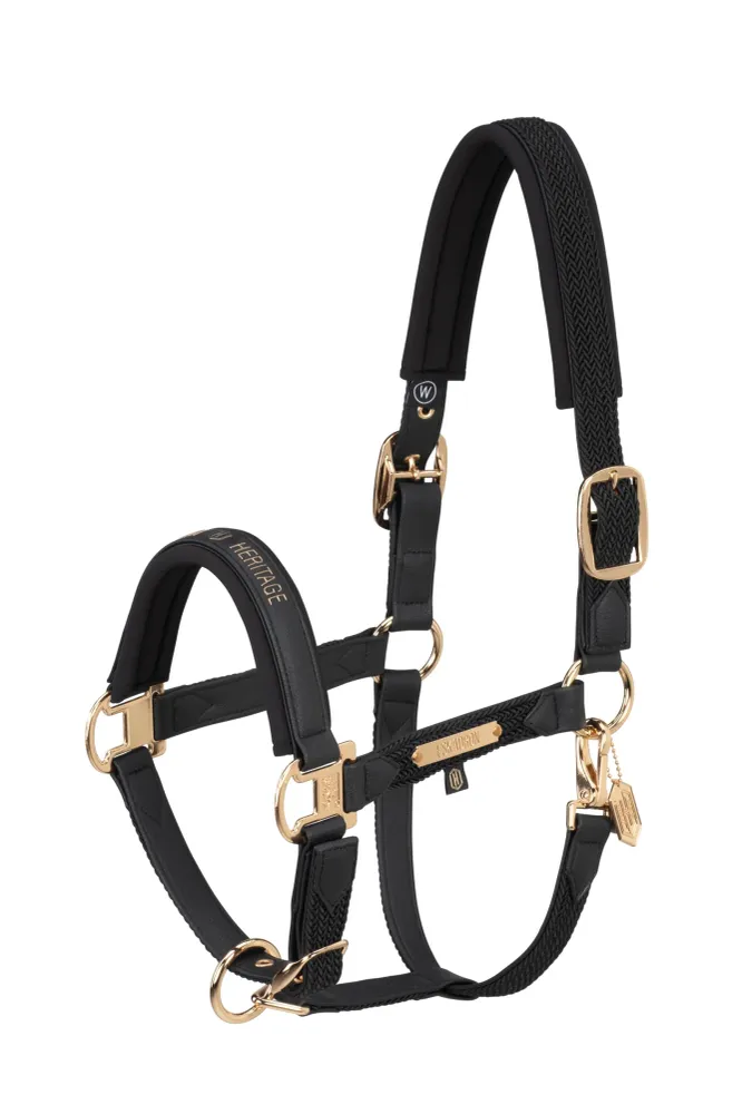 Heritage AW24 Faux Leer Double Pin Headcollar Softshell Black SHP