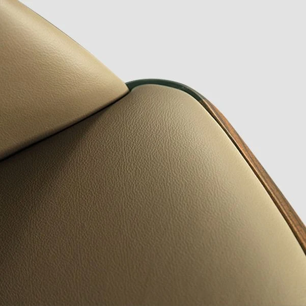 Scandinavian Leather Hotel Arm Chair Matte Finish Stevig Back Dining Chair (Set 2) Light