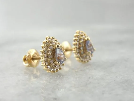 Tanzanite and Diamond Dubbel Halo Stud Earrings