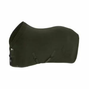 Zware Uitvoering Dynamics AW25 Double-Fleece Sweat Rug Olive 155