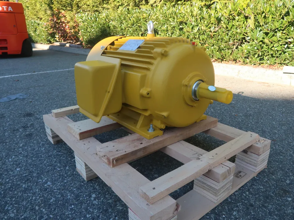 15 hp, 575 volts, 1780 rpm, 254T Electric Motor OMN-254T-4 met geïntegreerde geleiderail
