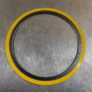 12" 150 CG Gasket