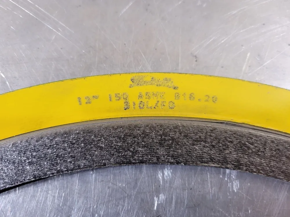 12" 150 CG Gasket
