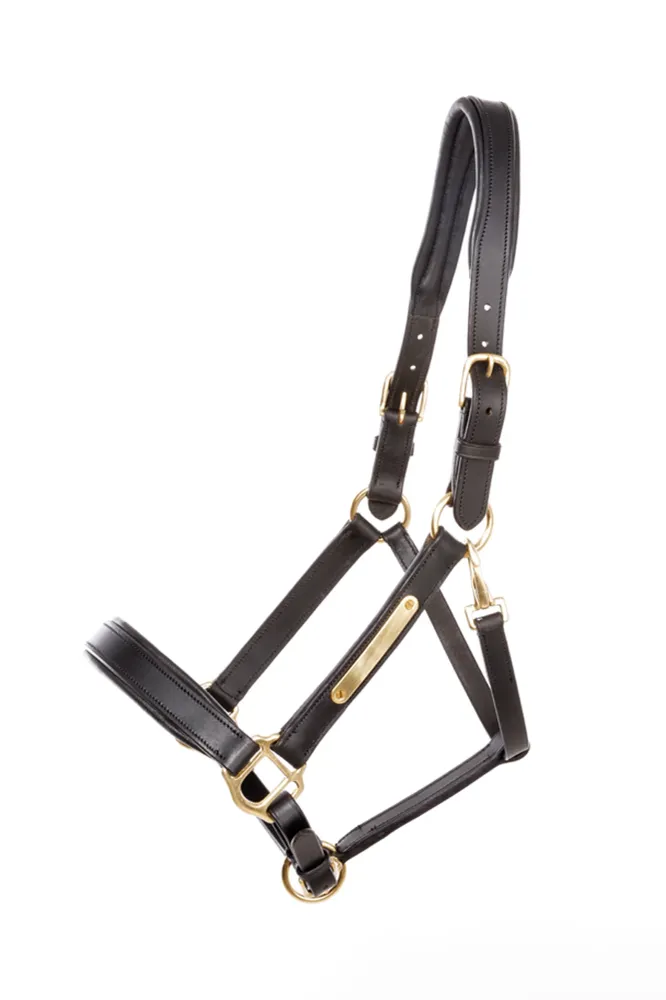 Leren halter Cinta black/black P