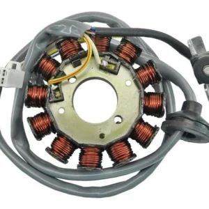 Stator TECNIUM - Minarelli horizontal 12 Bobinas : Pro Fishfinder Editie
