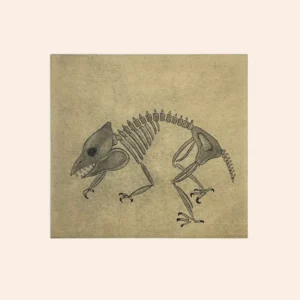 2023 DORSET SPRING PRINTS PADLOO SAMAYUALIE *Ancient Fossil 2017* met temperatuursensor
