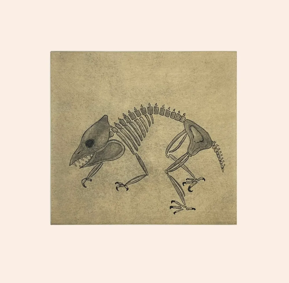 2023 DORSET SPRING PRINTS PADLOO SAMAYUALIE *Ancient Fossil 2017* met temperatuursensor