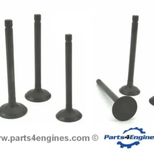Perkins 422GM Cylinder Head Valve Set