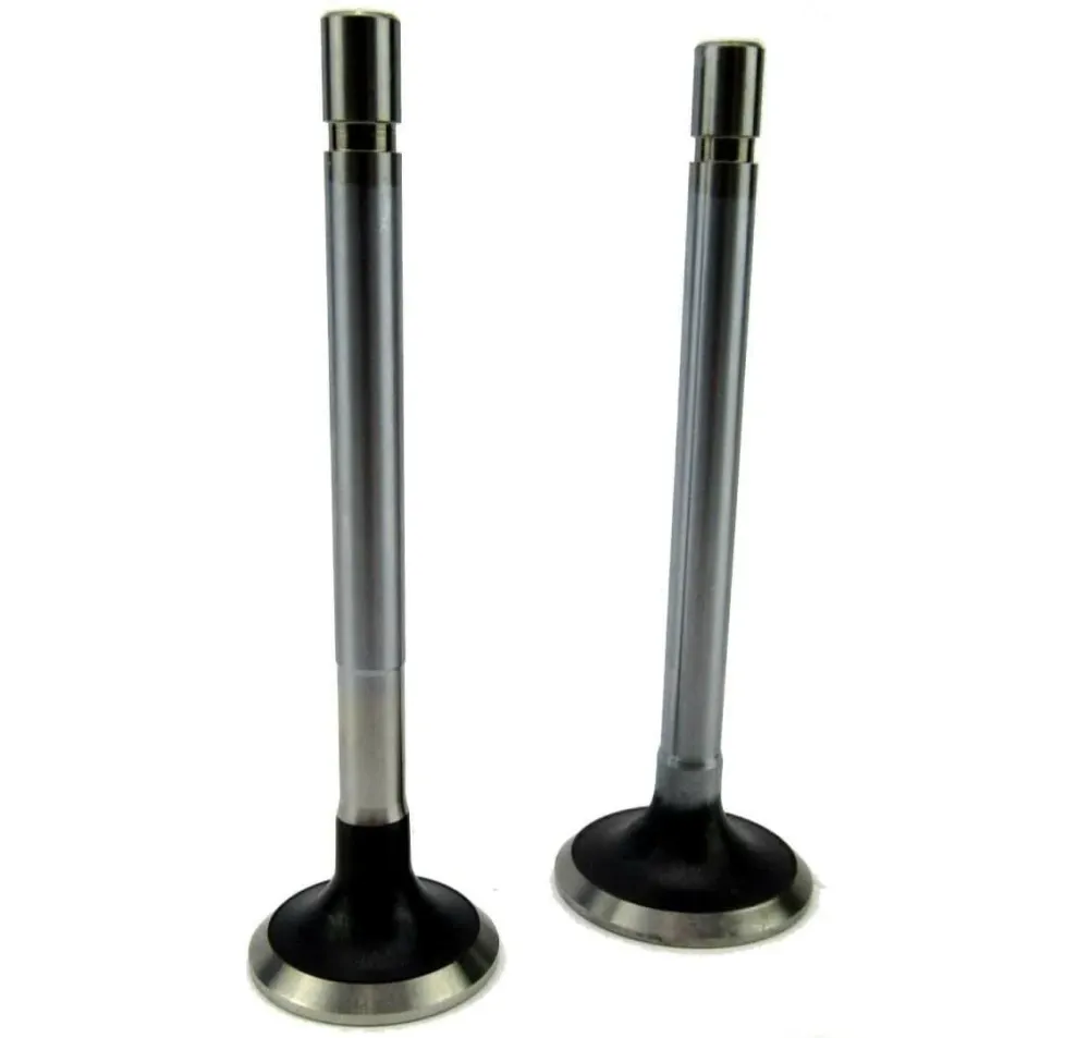 Volvo Penta 2001 Cylinder Head Valve Set
