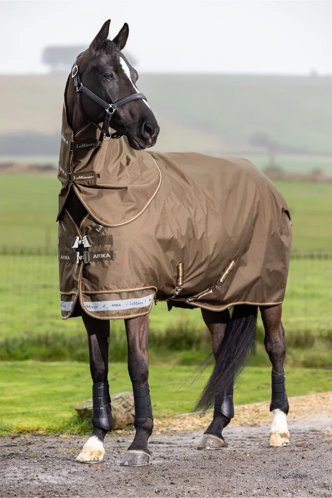 Arika Ripstop Turnout Rug Uitneembaar Neck, 0 g Alpine 125