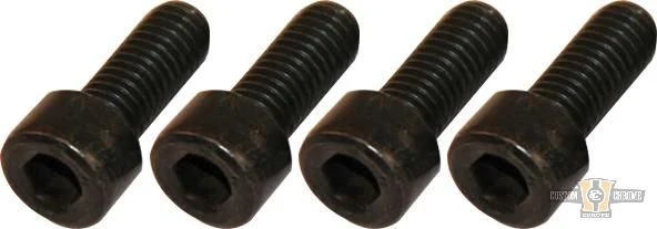 Fender Mounting Screws Ebbenhout Galvanized Harley-Davidson