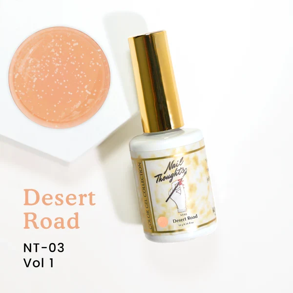 Interieur NT-03 Desert Road