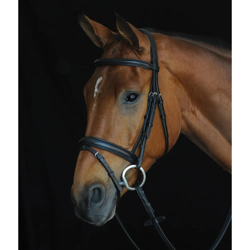 Comfort Crown Padded Raised Flash Bridle Zwart P