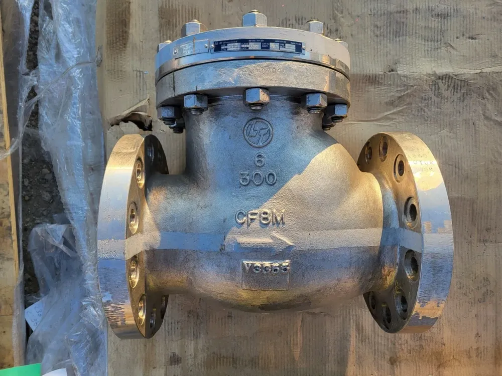2019 6" Class 300 Check Valve API 594