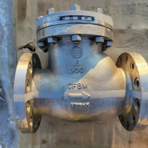 2019 6" Class 300 Check Valve API 594