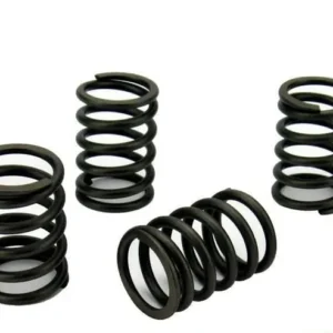 Perkins 400 Series Cylinder Head Valve Springs (U98217470)