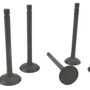 Perkins 403J-07 Cylinder Head Valve Set