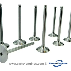 Perkins 4.154 Cylinder Head Valve Set