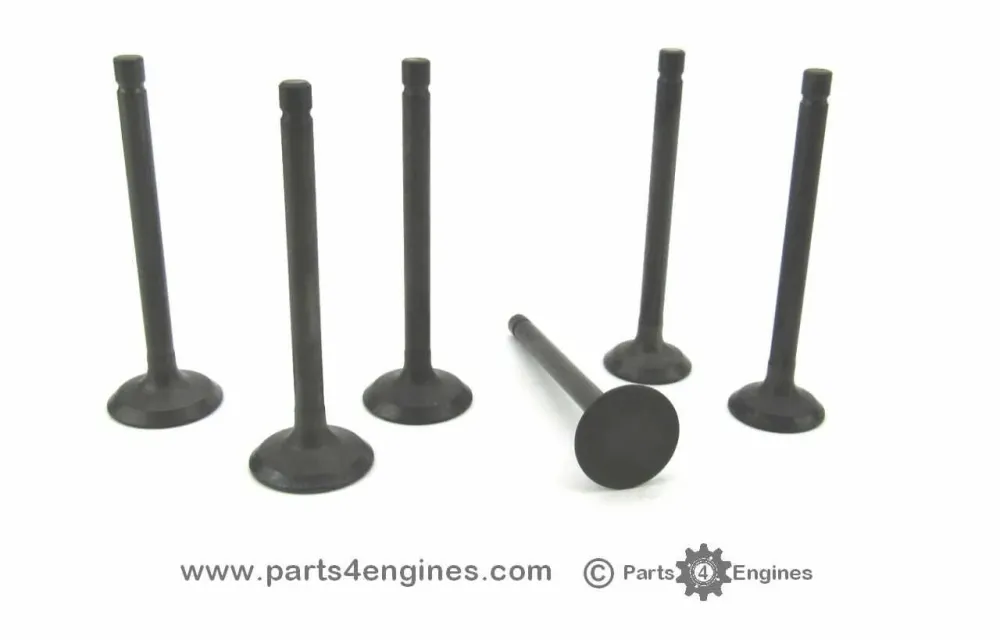 Perkins M25 Cylinder Head Valve Set