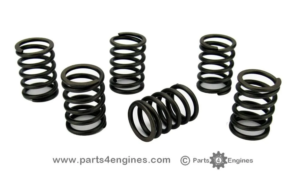 Perkins Perama M25 Valve Spring Set