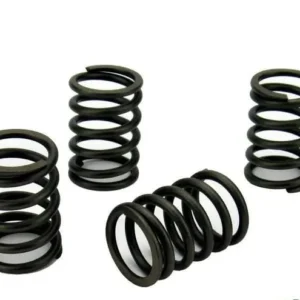 Perkins Perama M35 Valve Spring Set