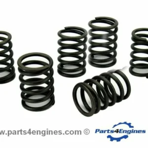 Perkins Perama MC42 Valve Spring Set (U98217470)