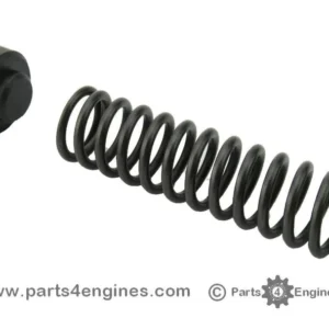 Perkins Phaser 1006 Oil Pressure Relief Valve Kit