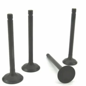 Volvo Penta D1-13 Cylinder Head Valve Set
