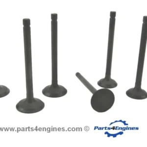 Volvo Penta D1-30 Cylinder Head Valve Set
