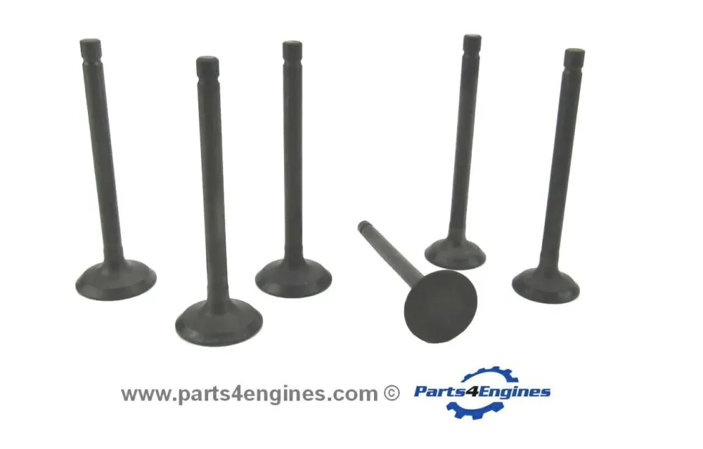 Volvo Penta D1-30 Cylinder Head Valve Set