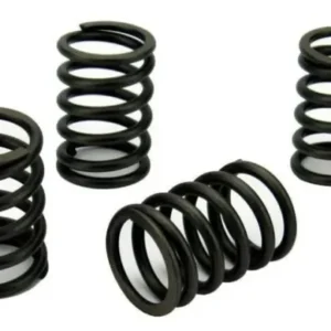 Volvo Penta MD2030 Valve Spring Set (3580964)