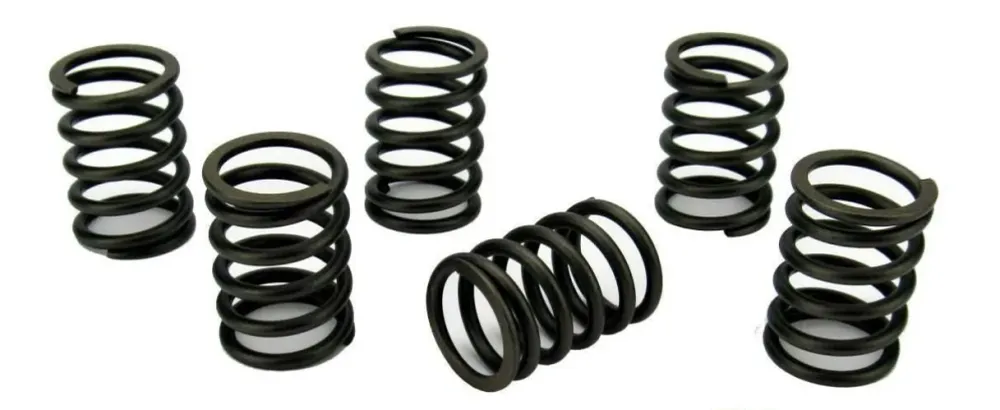 Volvo Penta MD2030 Valve Spring Set (3580964)