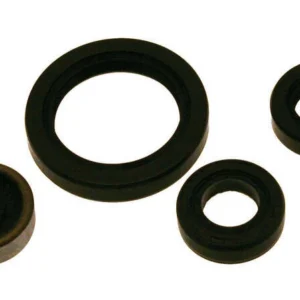 Kit retenes de motor CENTAURO KTM/Husqvarna Gietijzeren remschijf