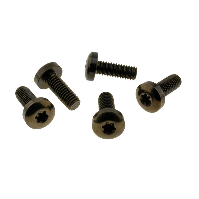 Kit De Tornillos Discos Freno Traseros (TITAN) Para Harley Davidson Gietijzeren remschijf