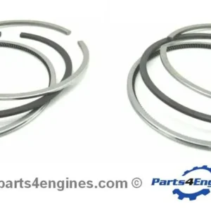 Perkins 402D-05 Piston Ring Set - 650ml
