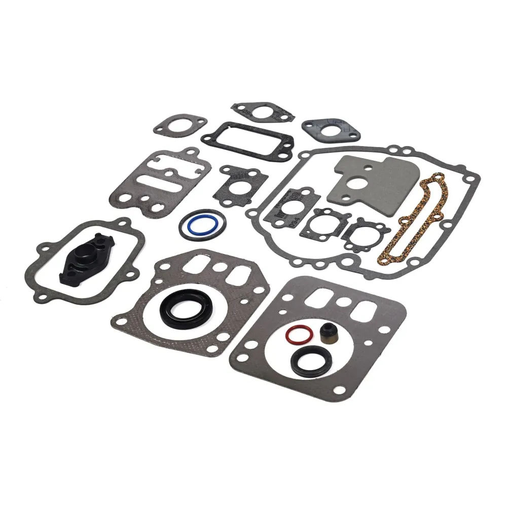 Briggs & Stratton 795442 Engine Gasket Set | Snel Montage | Waterdicht