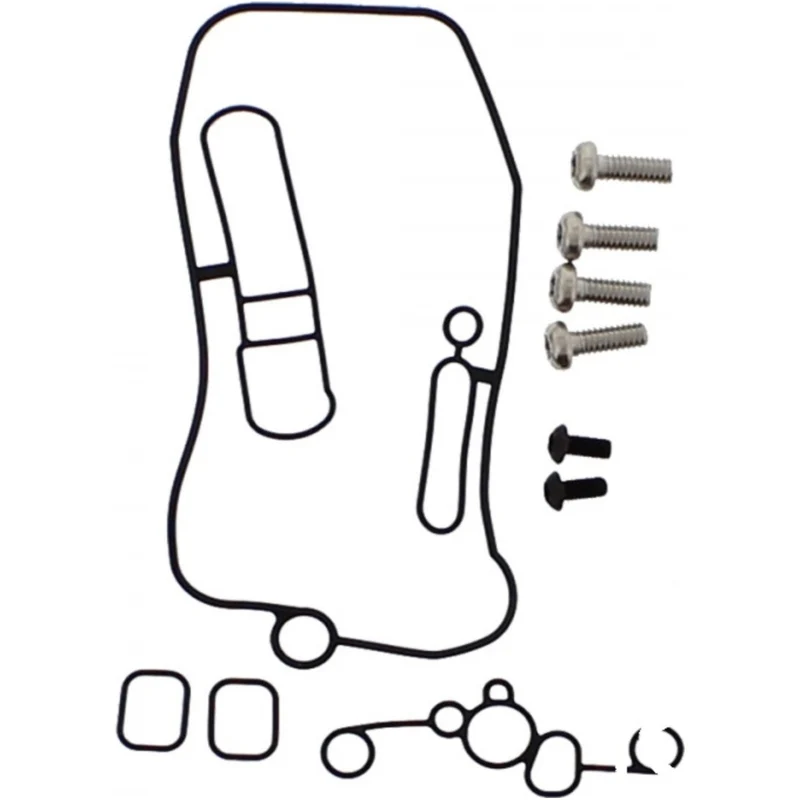 Kit de juntas tóricas FCR + tornillos Torx de carburador Tourmax