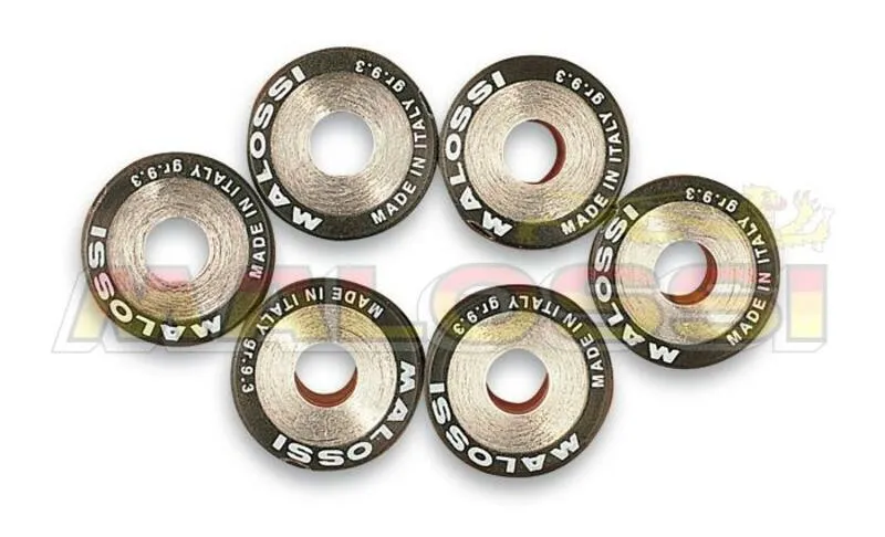 6 Rodillos Malossi HTRoll Ø19x17 gr.07,7 Ø19X17 GR.07,7 66 9456.E0