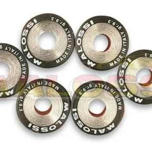 6 Rodillos Malossi HTRoll Ø20x12 gr.10 Ø20X12 GR.10 6611156.E0