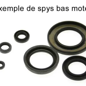 Kit retenes de motor VITALITY 50 2TPS '04 666A065SR