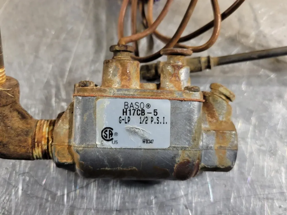 Originele sensor 2000 BTU/HR Thermostat Gas Regulator 1/2" High Temperature Valve