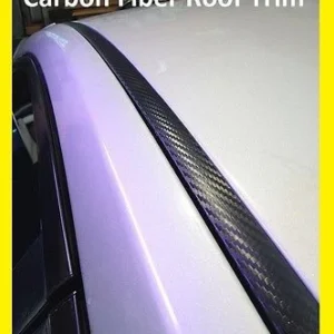 1998-2002 Oldsmobile Intrigue Black Carbonvezel Fiber Roof Top Trim Molding Kit