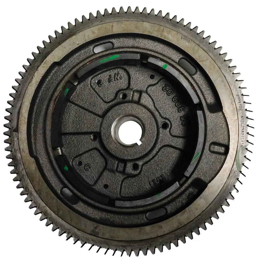 Kohler 24 025 121-S vliegwielassemblage met Torx- en inbusbits